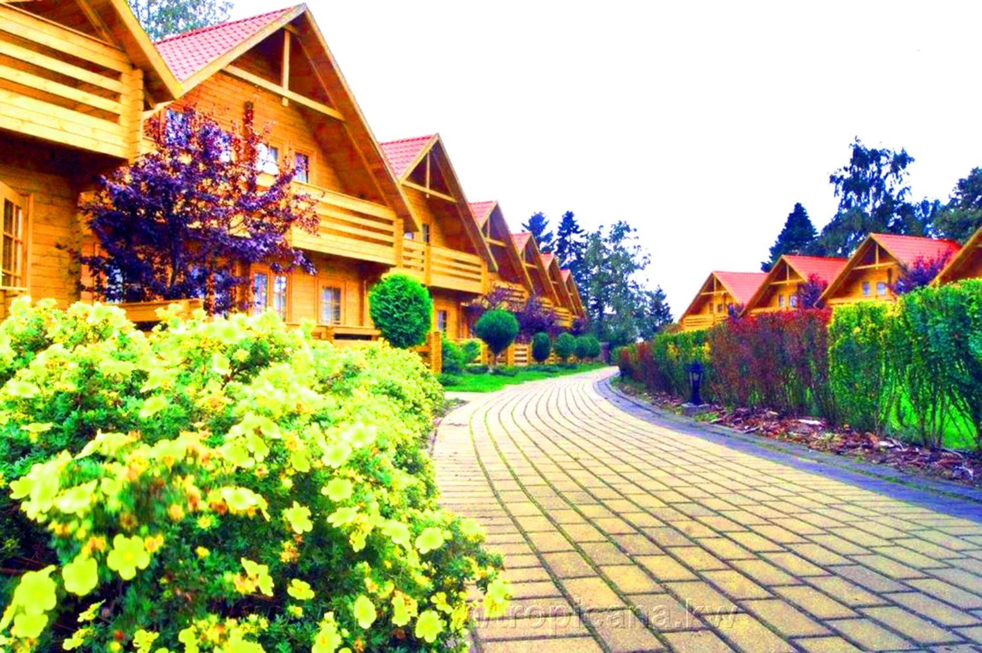 Tropicana Ϫϫ Holiday Houses Jastrzębia Góra Εξωτερικό φωτογραφία